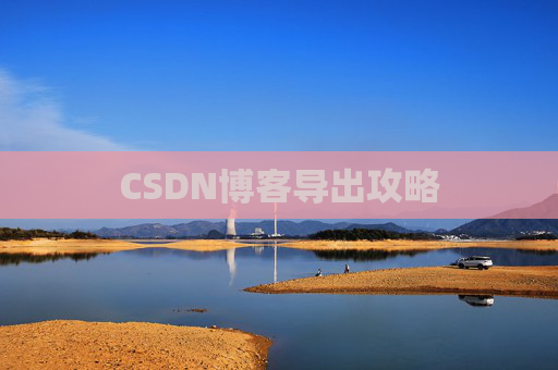 CSDN博客导出攻略 CSDN博客导出攻略